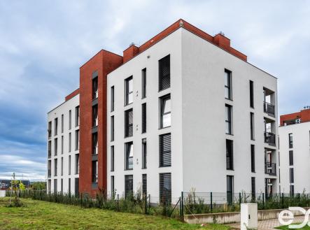 dsc09906.jpg | Pronájem bytu, 1+kk, 30 m²