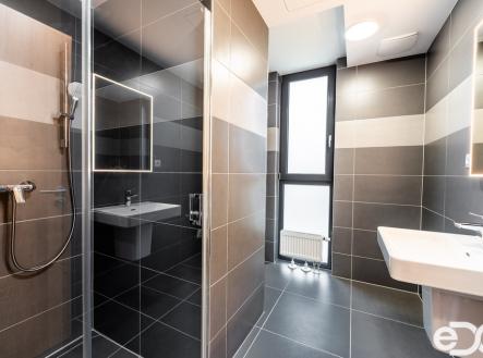 dsc09868-hdr.jpg | Pronájem bytu, 1+kk, 30 m²