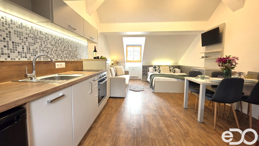 apartman-krusne-hory.jpg