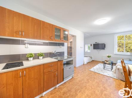 dsc00625-hdr.jpg | Pronájem bytu, 1+kk, 29 m²