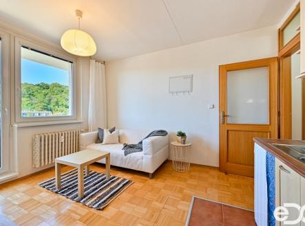 dsc-2824-hdr.jpg | Pronájem bytu, 1+1, 51 m²