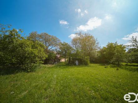 pozemek-sedlice-4.jpg | Prodej - pozemek pro bydlení, 5 013 m²