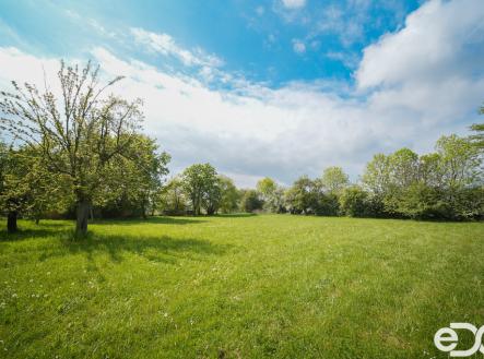 pozemek-sedlice-3.jpg | Prodej - pozemek pro bydlení, 5 013 m²