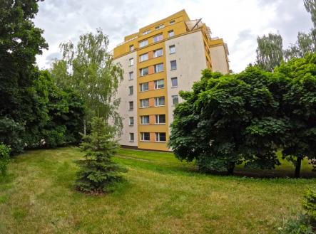 foto-simunkova-petrjonas-reality-10.jpg | Pronájem bytu, 2+kk, 45 m²