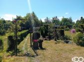 Prodej - pozemek, zahrada, 215 m²