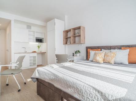 . | Pronájem bytu, 1+kk, 20 m²