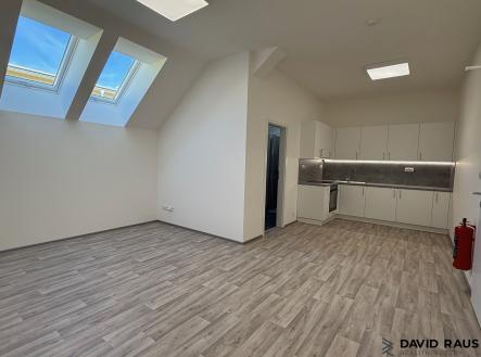 IMG_8584 | Pronájem bytu, 1+kk, 35 m²