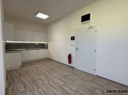 IMG_8588 | Pronájem bytu, 1+kk, 35 m²
