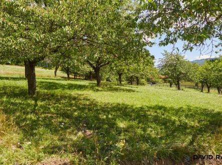 Vyškovec_ pohled 1 | Prodej - pozemek pro bydlení, 2 226 m²