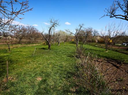 Zahrada_1 | Prodej - pozemek, zahrada, 752 m²