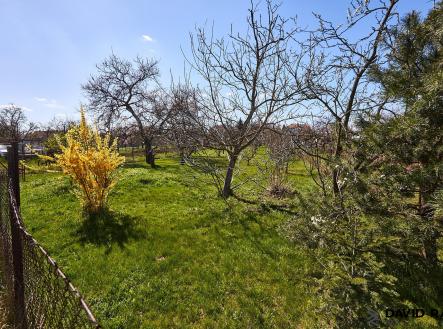 Zahrada_17 | Prodej - pozemek, zahrada, 752 m²