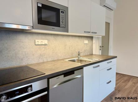 IMG_9239 | Pronájem bytu, 2+kk, 70 m²