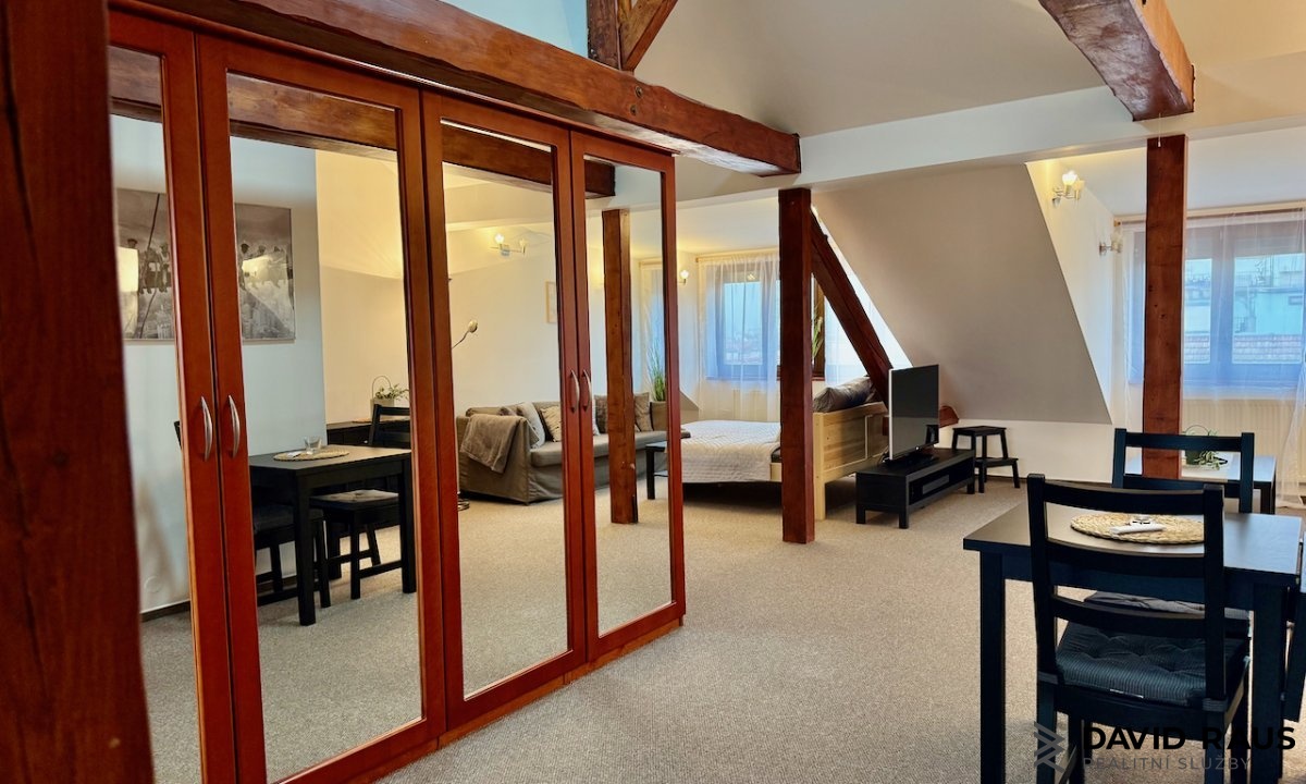 pronajem-zarizeneho-podkrovniho-bytu-1-kk-61m-ul-gorkeho-brno-veveri_6233