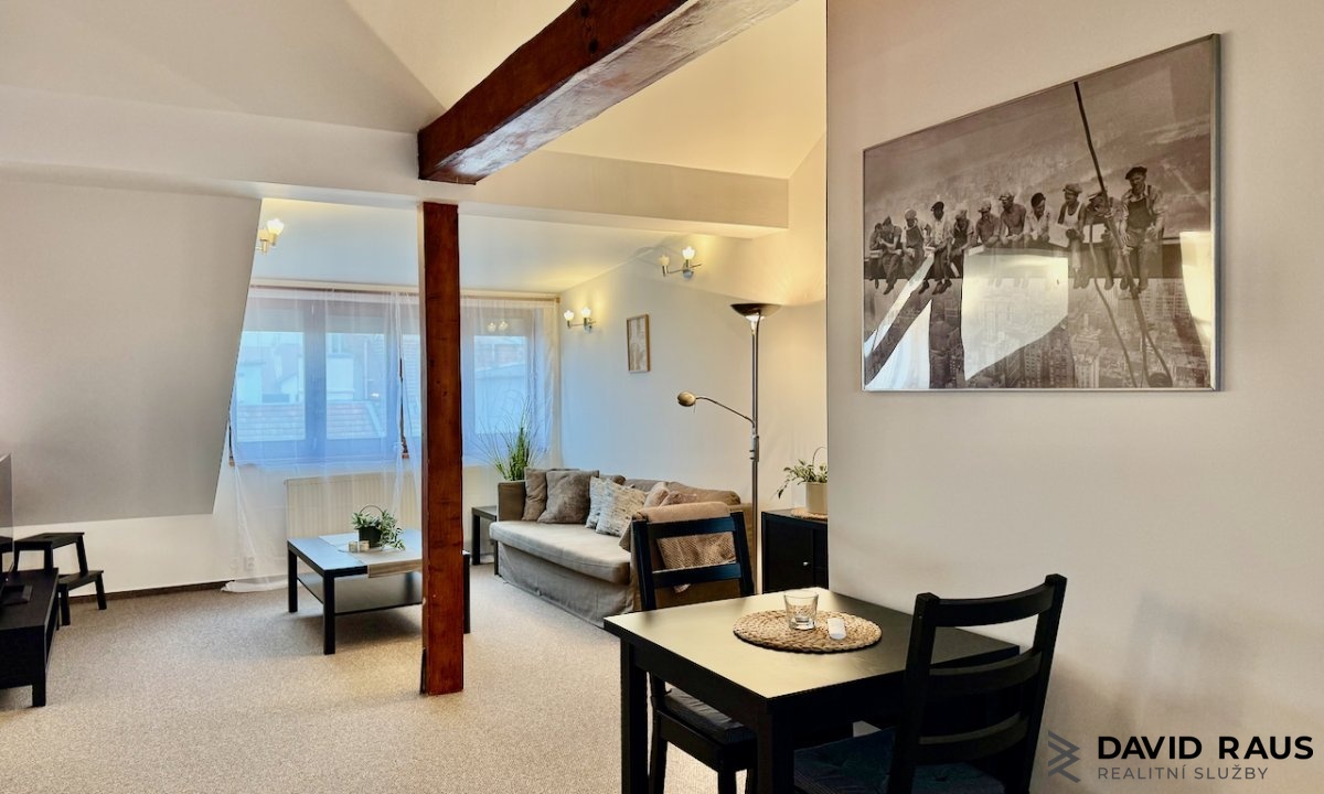 pronajem-zarizeneho-podkrovniho-bytu-1-kk-61m-ul-gorkeho-brno-veveri_6209