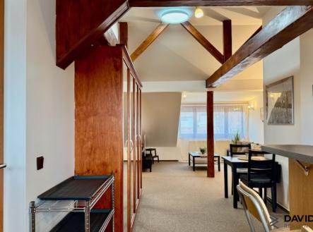 pronajem-zarizeneho-podkrovniho-bytu-1-kk-61m-ul-gorkeho-brno-veveri_6230 | Pronájem bytu, 1+kk, 61 m²