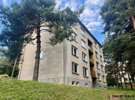 Byt 1+1, NMNM | Pronájem bytu, 1+1, 38 m²