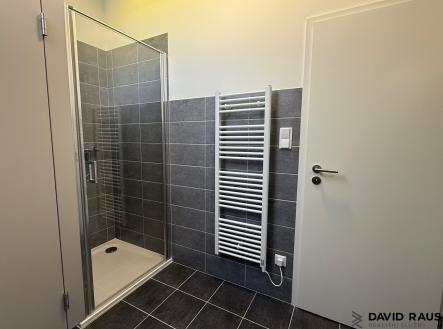 IMG_8591 | Pronájem bytu, 1+kk, 35 m²