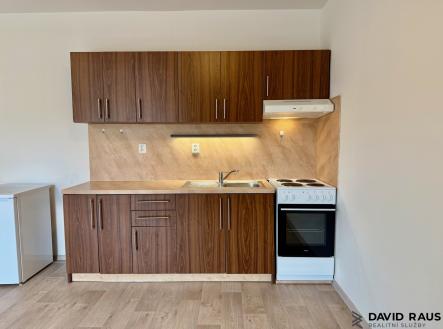 IMG_1130 | Pronájem bytu, 1+kk, 37 m²