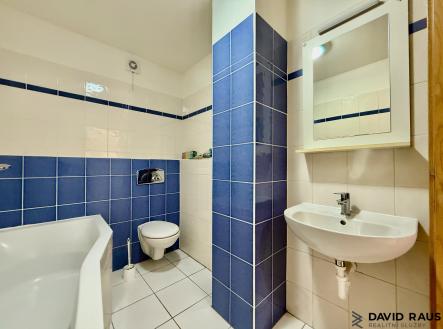 IMG_1142 | Pronájem bytu, 1+kk, 37 m²