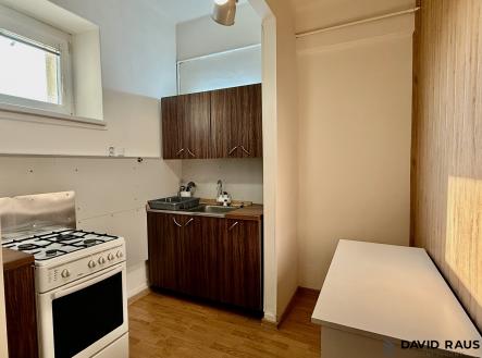 IMG_1240 | Pronájem bytu, 2+1, 44 m²