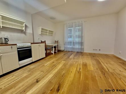 IMG_1133 | Pronájem bytu, 1+kk, 34 m²