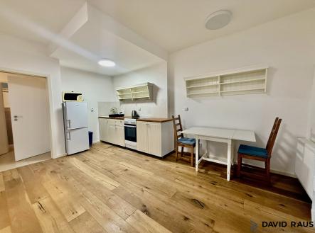 IMG_1135 | Pronájem bytu, 1+kk, 34 m²