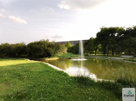 img-20250609-183618u.png | Prodej bytu, 1+kk, 41 m²