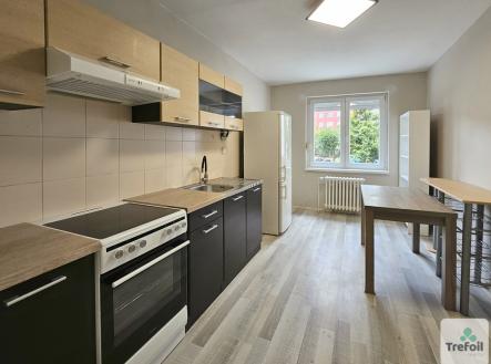 Pronájem bytu, 1+1, 50 m² obrázek