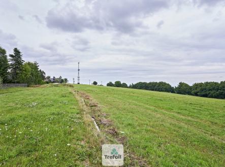 dlouha-louka-1.jpg | Prodej - pozemek, trvalý travní porost, 1 013 m²