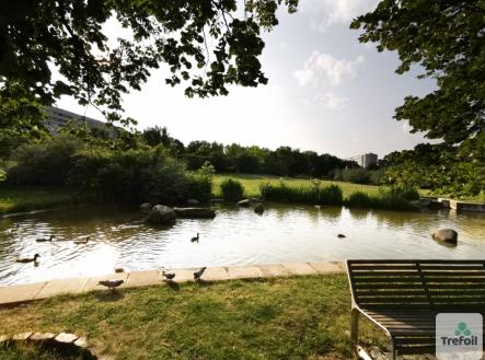 img-20250609-183227u.png | Prodej bytu, 1+kk, 41 m²