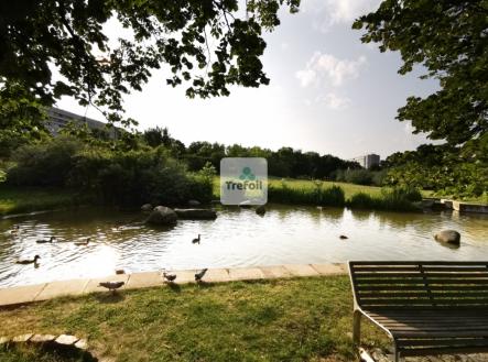 img-20250609-183227u.png | Prodej bytu, 2+kk, 51 m²