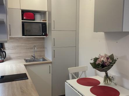 15.jpeg | Pronájem bytu, 1+kk, 35 m²