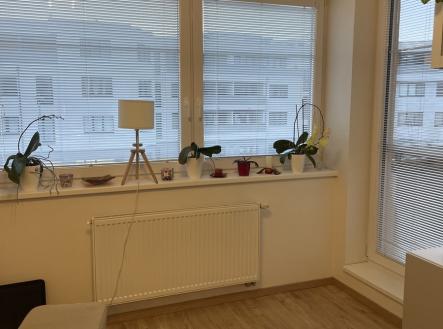 9.jpeg | Pronájem bytu, 1+kk, 35 m²