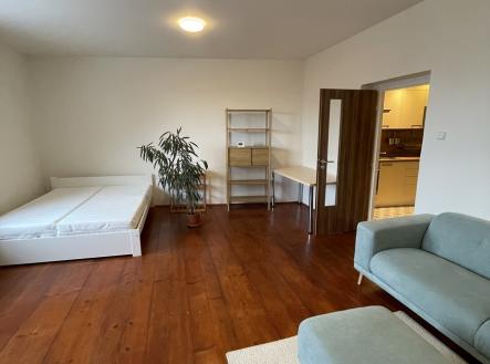 img-11.jpeg | Pronájem bytu, 1+1, 49 m²