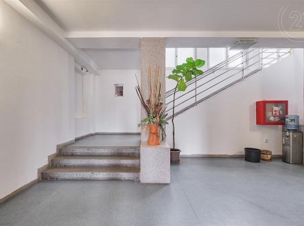 Prodej - dům/vila, 1 000 m²