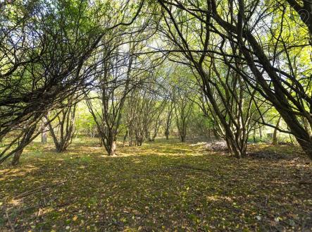 . | Prodej - pozemek pro komerční výstavbu, 4 736 m²