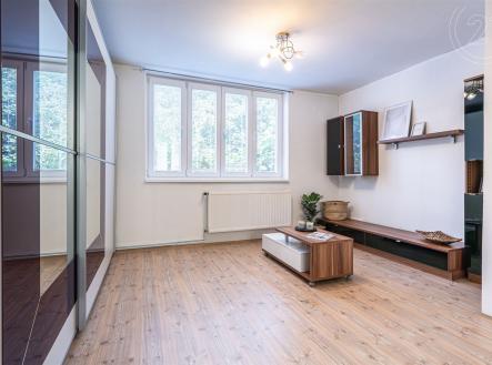 . | Pronájem bytu, 1+kk, 25 m²