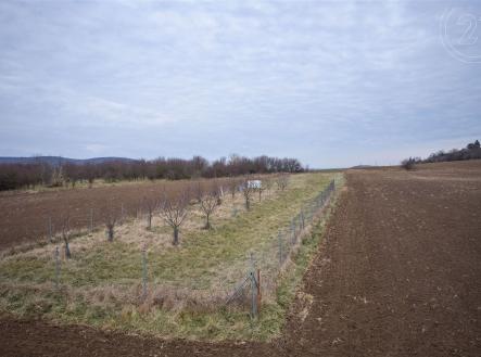 . | Prodej - pozemek, zemědělská půda, 1 321 m²