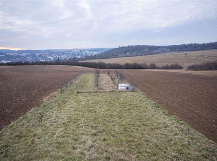 . | Prodej - pozemek, zemědělská půda, 1 321 m²