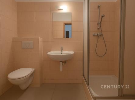 . | Pronájem bytu, 3+kk, 66 m²