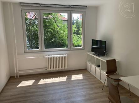 . | Pronájem bytu, 1+kk, 24 m²