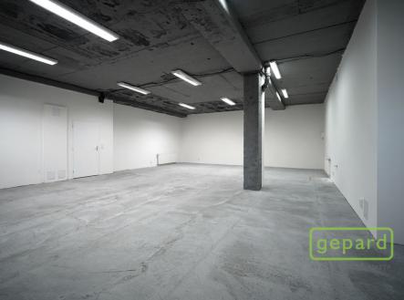 Pronájem - kanceláře, 100 m²