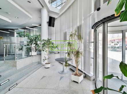 3.jpg | Pronájem - obchodní prostor, 747 m²