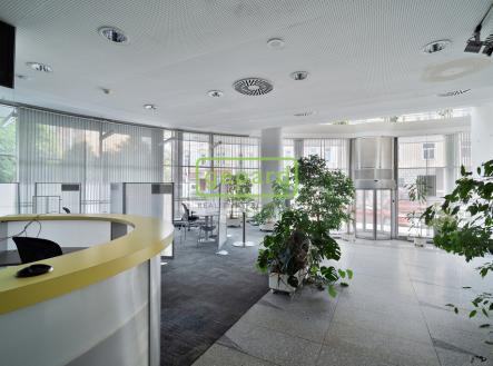 foto-50.jpg | Pronájem - obchodní prostor, 747 m²