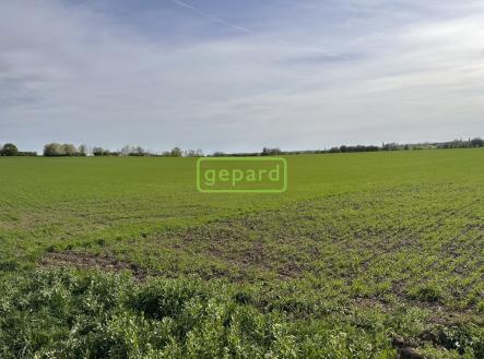 img-3515.jpg | Prodej - pozemek, zemědělská půda, 5 446 m²