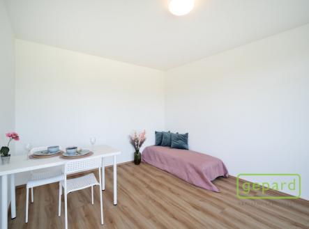 foto-09.jpg | Pronájem bytu, 1+kk, 28 m²