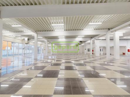 litomerice-c-02112023-182757.jpg | Pronájem - obchodní prostor, 1 609 m²