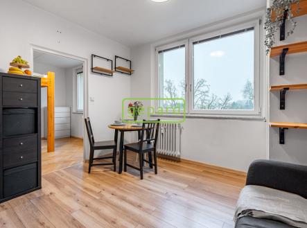 dsc00300-hdr.jpg | Pronájem bytu, 1+1, 35 m²