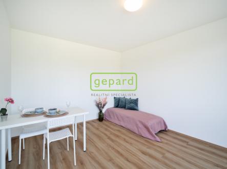 Pronájem bytu, 1+kk, 28 m² obrázek