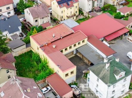 Prodej - nájemní dům, 554 m²